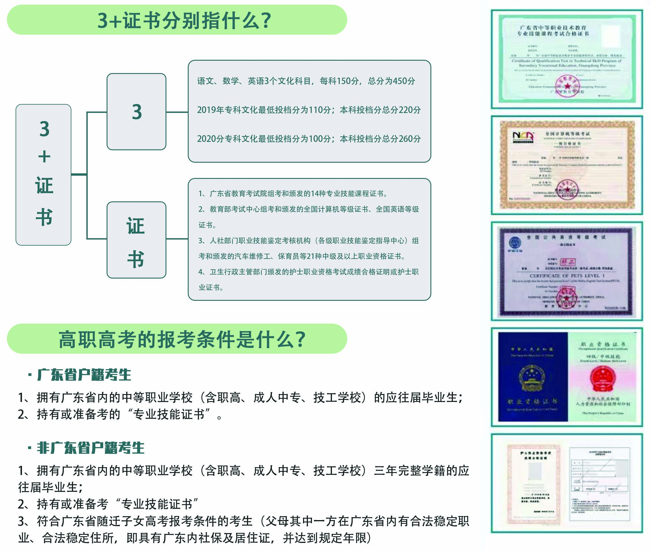 什么是3+证书