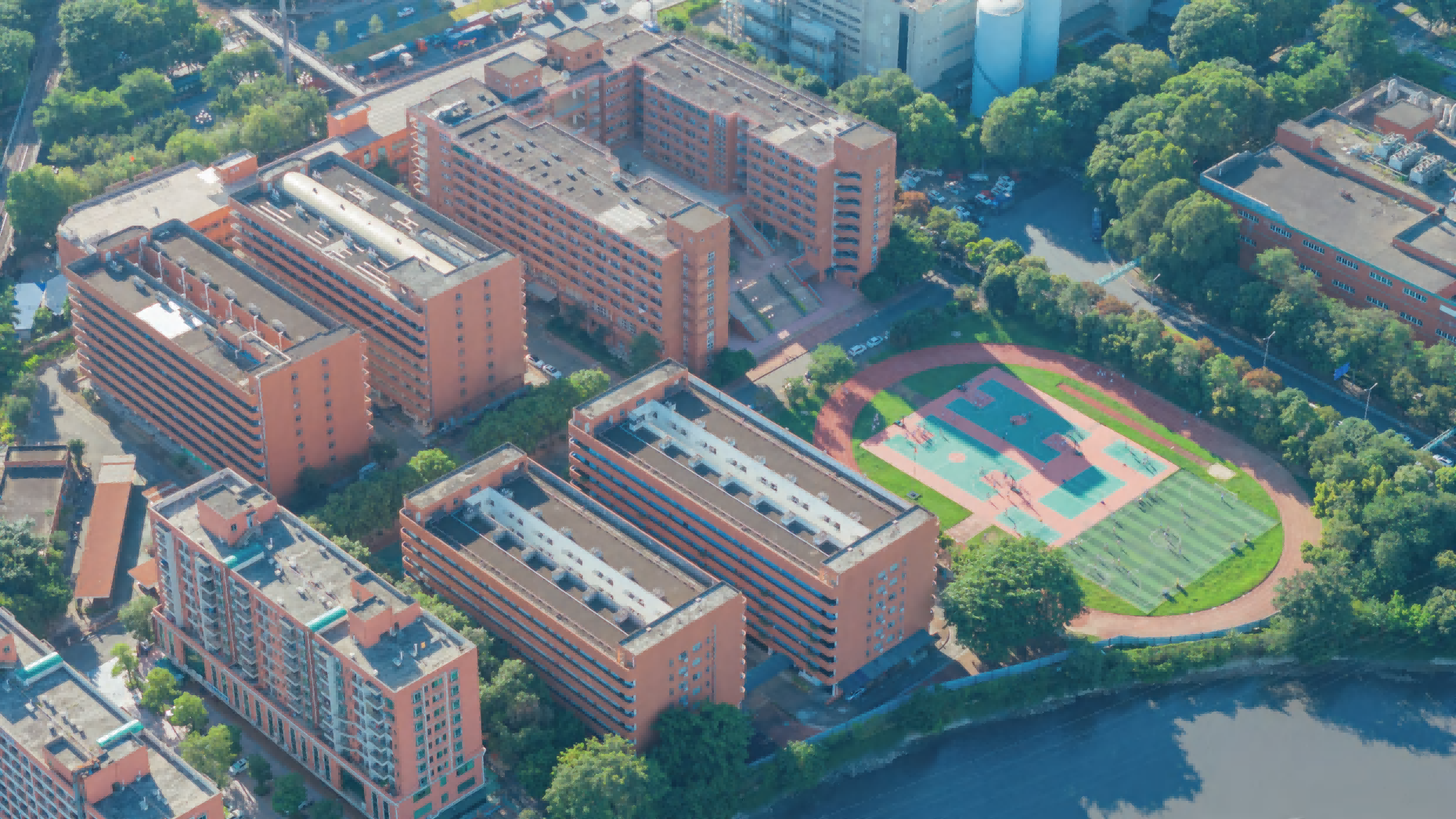 深耕中职升学赛道 以实绩铸就品牌，新易学教育成广东 3 + 证书高考 “升学引擎”