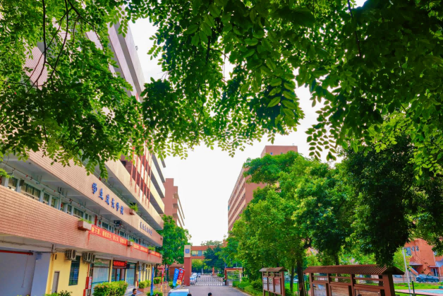 一文了解—新易学高职高考辅导班全面介绍